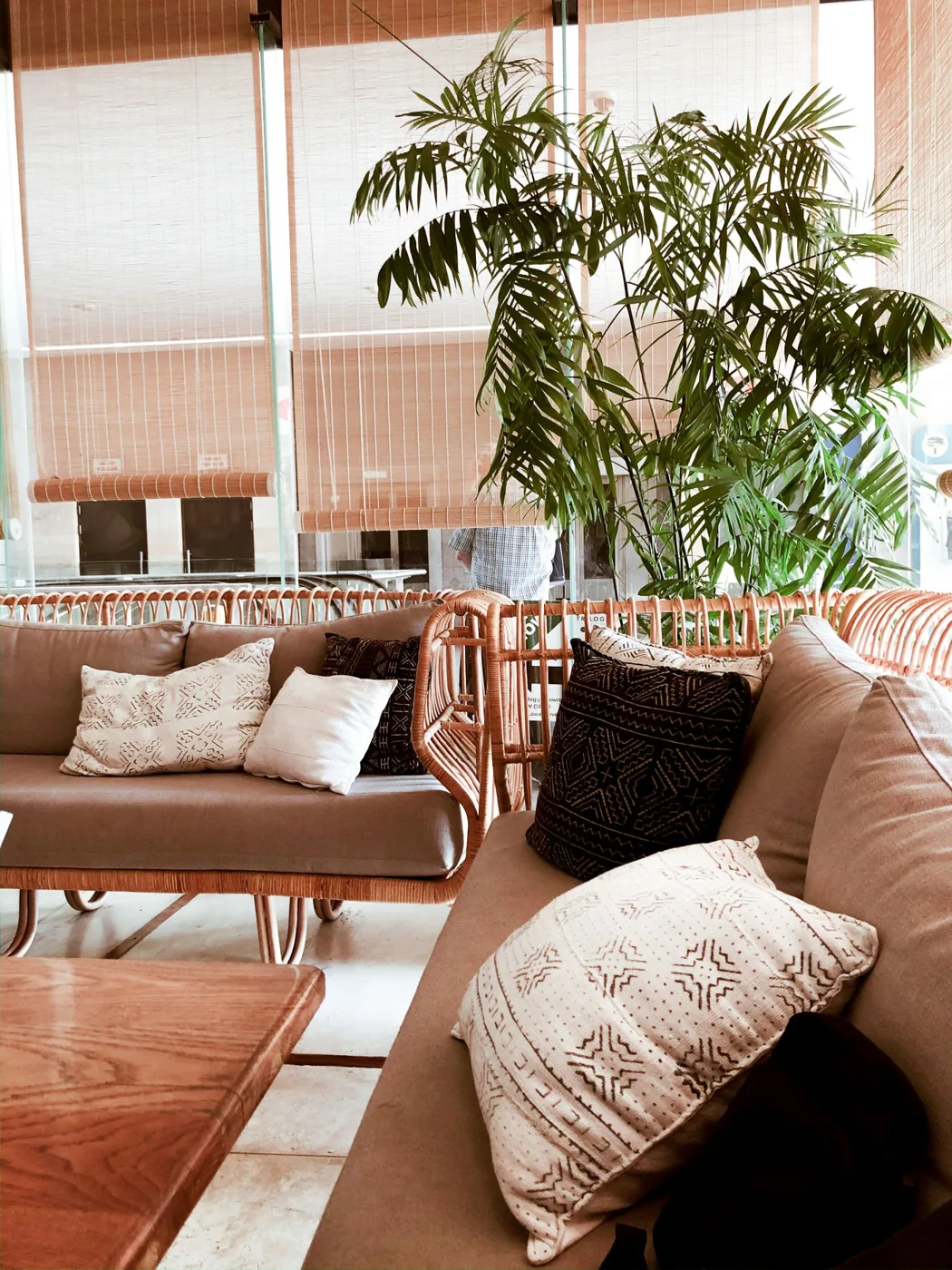 Living room sofas with textured cushions and houseplants