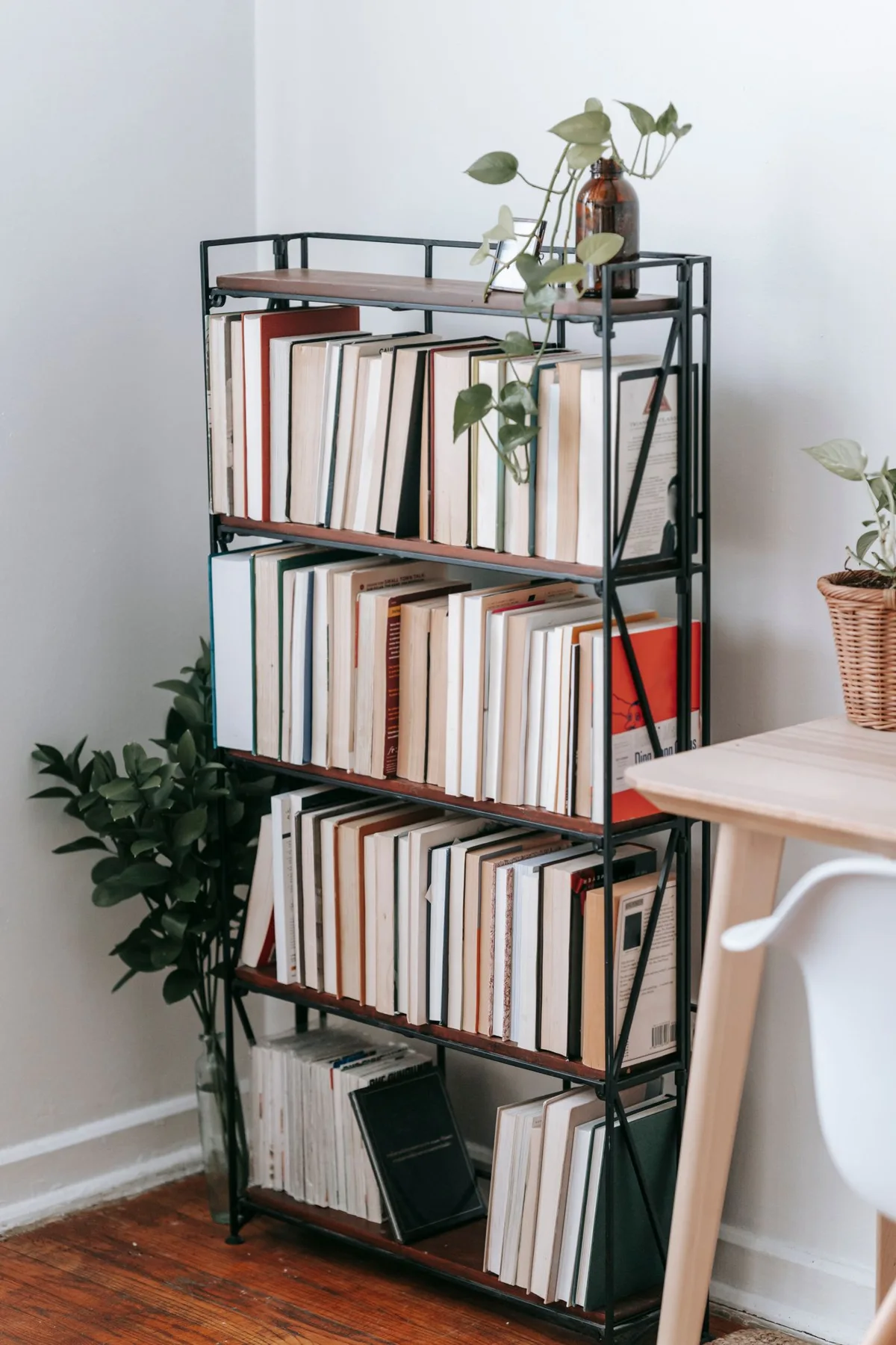 Books arranged on a dark open shelf beside a chair and houseplants