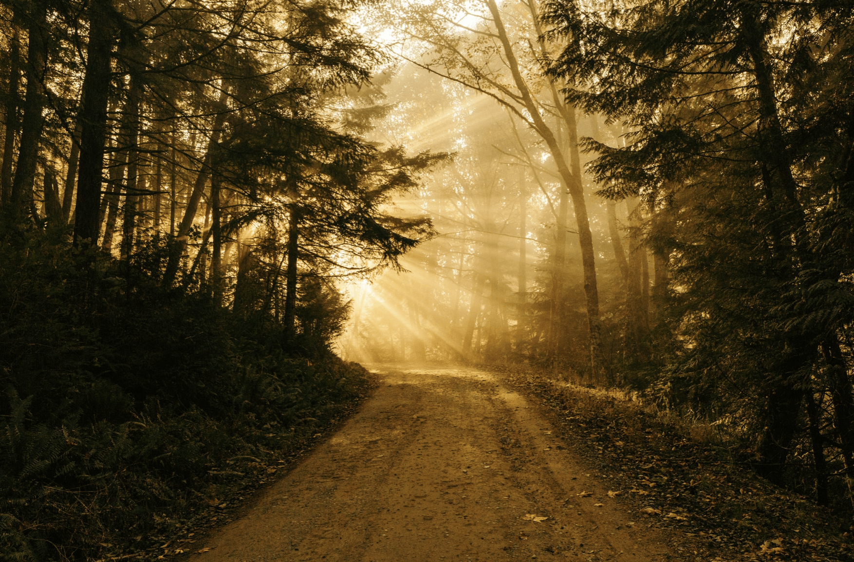 journey